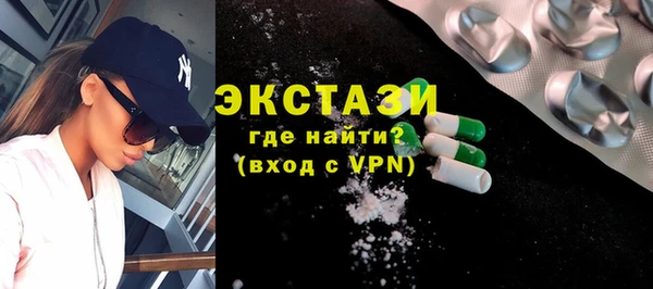 ECSTASY Ельня
