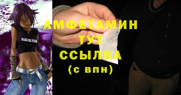 ECSTASY Ельня
