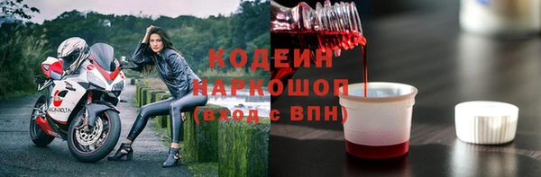 индика Заводоуковск