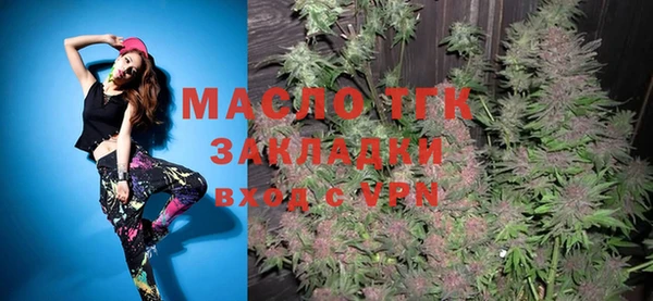индика Заводоуковск