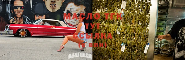 ECSTASY Ельня