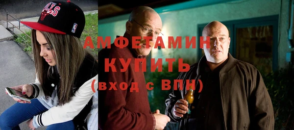индика Заводоуковск