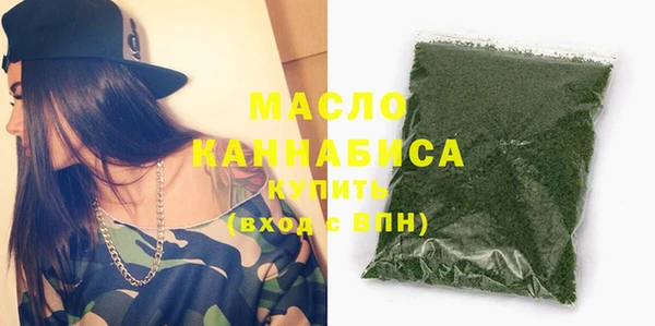 индика Заводоуковск